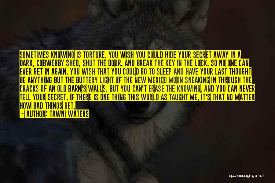 A Key And Lock Quotes By Tawni Waters