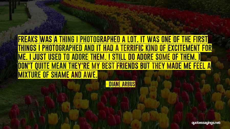 A Kind Of Friend Quotes By Diane Arbus