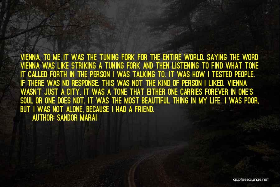 A Kind Soul Quotes By Sandor Marai