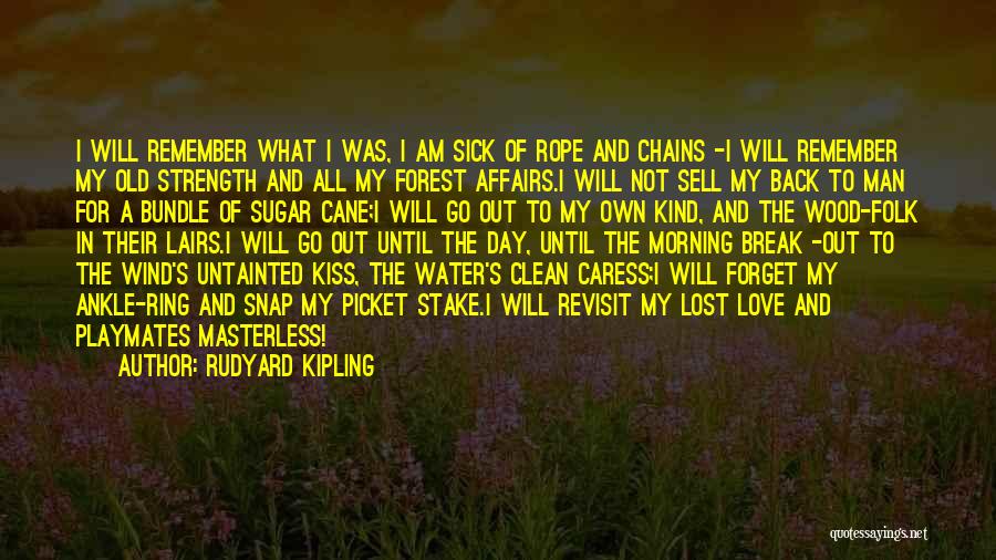 A Kiss A Day Quotes By Rudyard Kipling