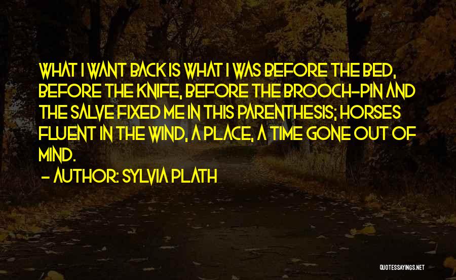 A Knife In The Back Quotes By Sylvia Plath