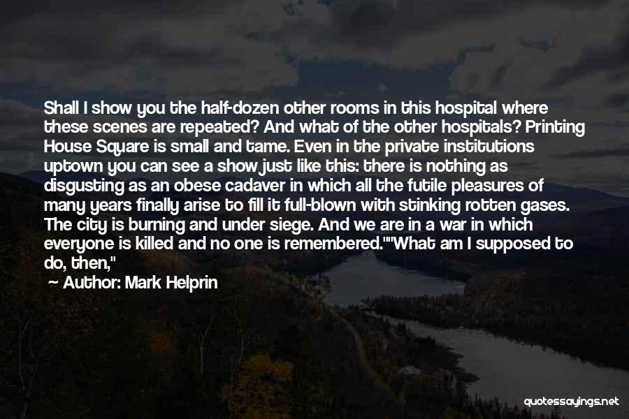 A Lake House Quotes By Mark Helprin