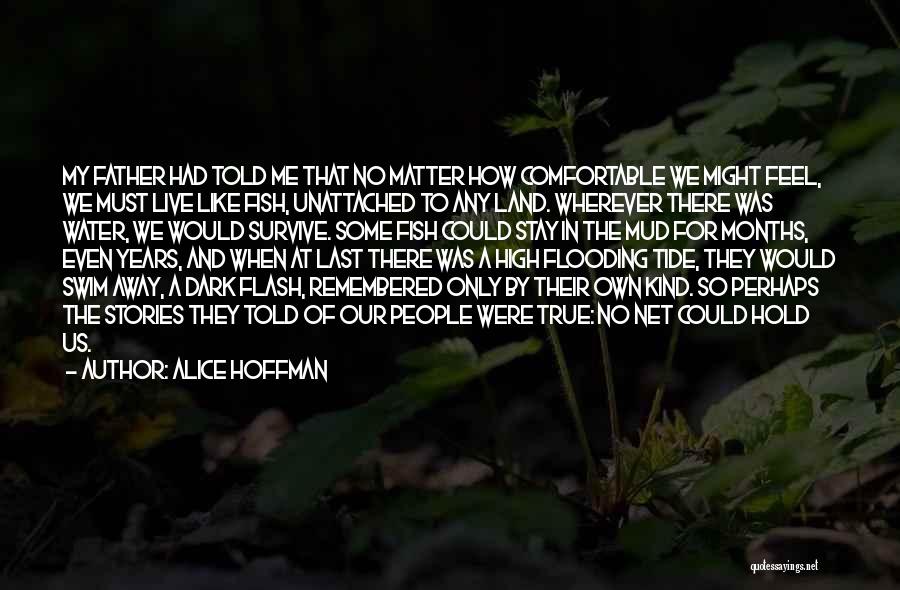 A Land Remembered Quotes By Alice Hoffman