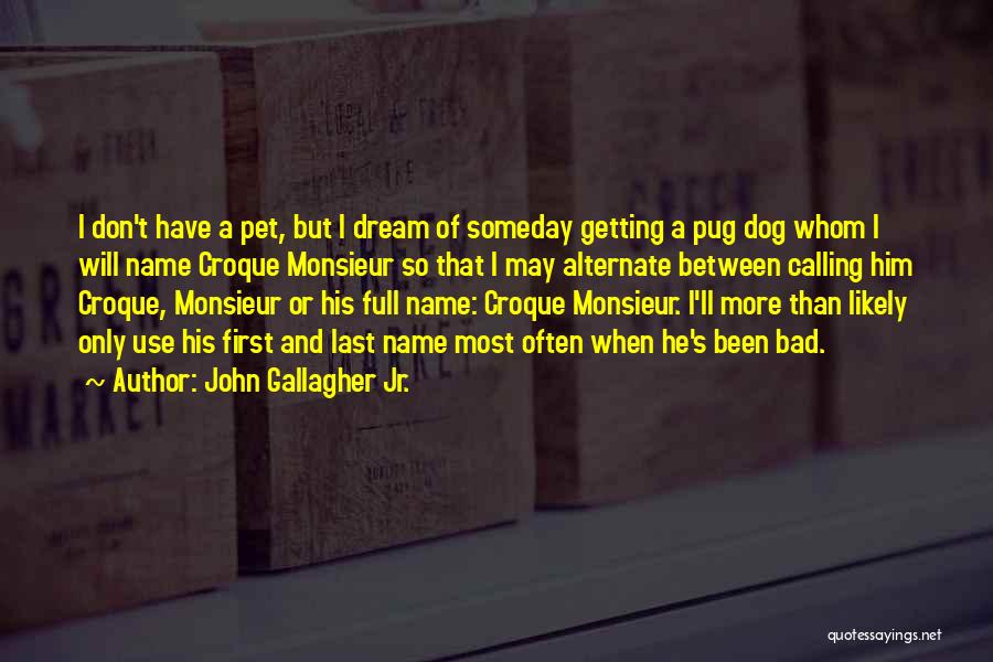 A Last Name Quotes By John Gallagher Jr.