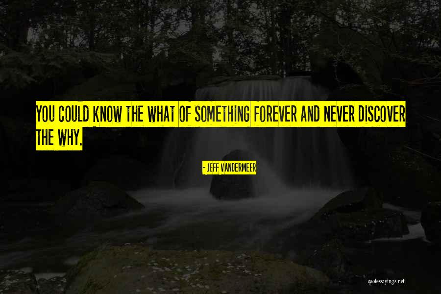 A Leader Inspires Quotes By Jeff VanderMeer
