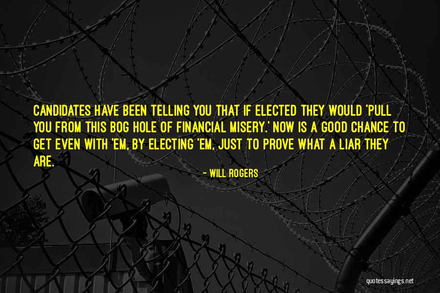 A Liar Quotes By Will Rogers