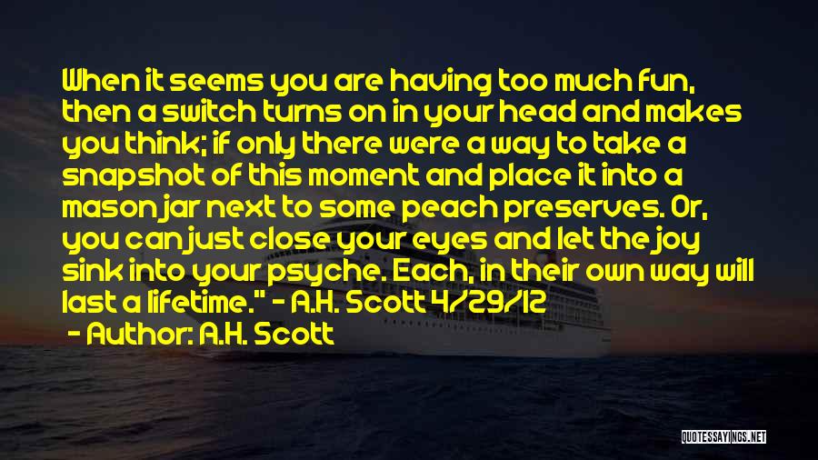 A Lifetime Of Memories Quotes By A.H. Scott