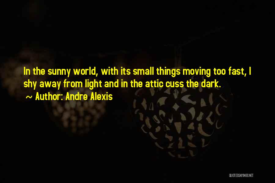 A Light In The Attic Quotes By Andre Alexis