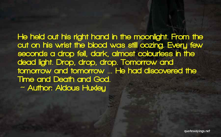 A Light In The Dark Quotes By Aldous Huxley