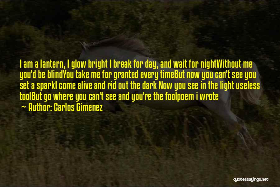 A Light In The Dark Quotes By Carlos Gimenez