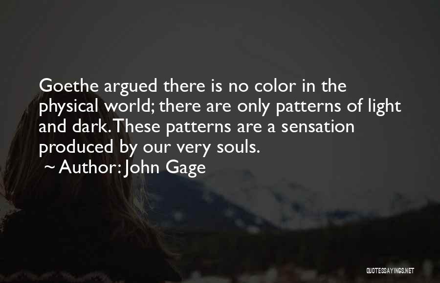 A Light In The Dark Quotes By John Gage