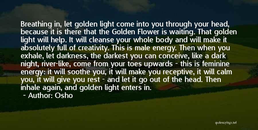 A Light In The Dark Quotes By Osho