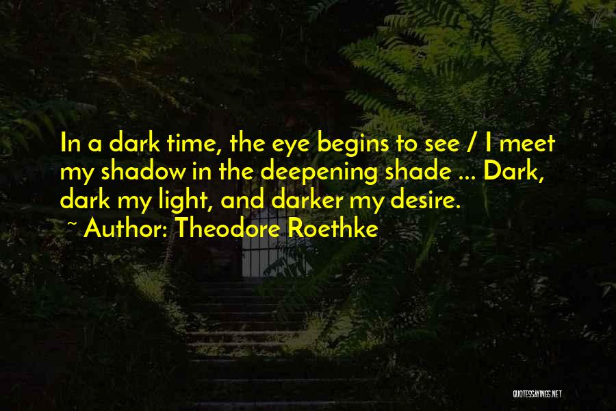 A Light In The Dark Quotes By Theodore Roethke