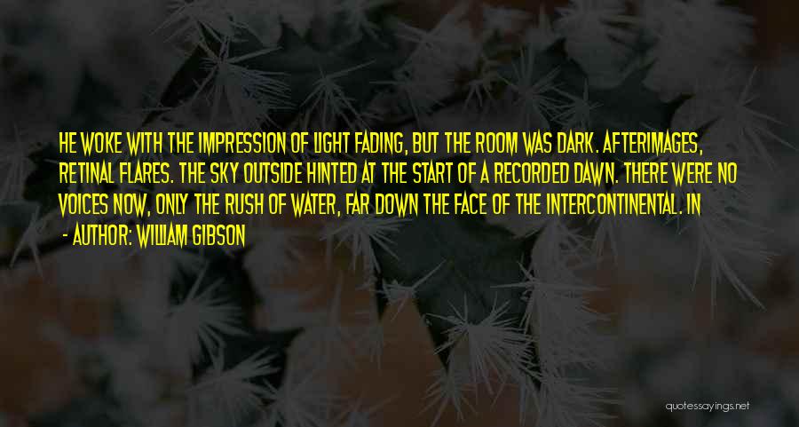 A Light In The Dark Quotes By William Gibson