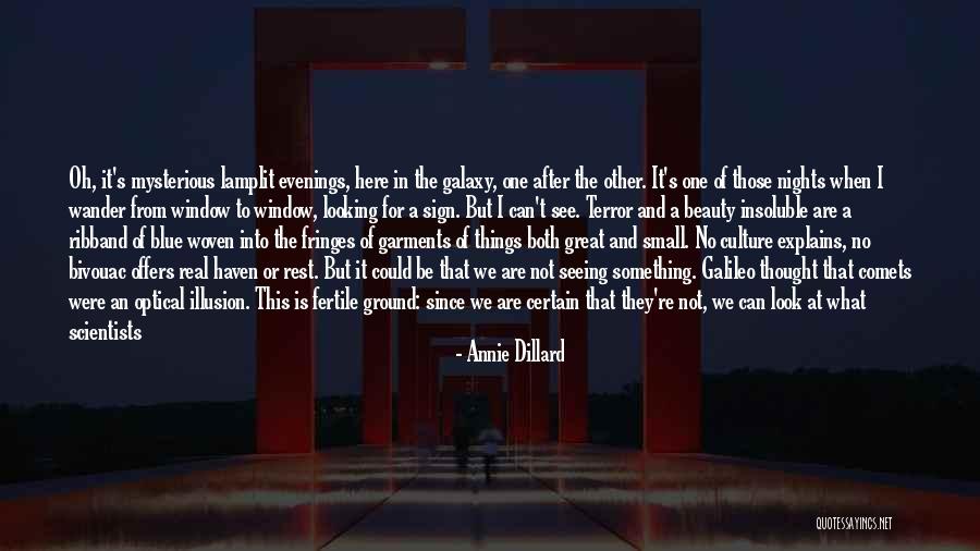 A Light Of Hope Quotes By Annie Dillard