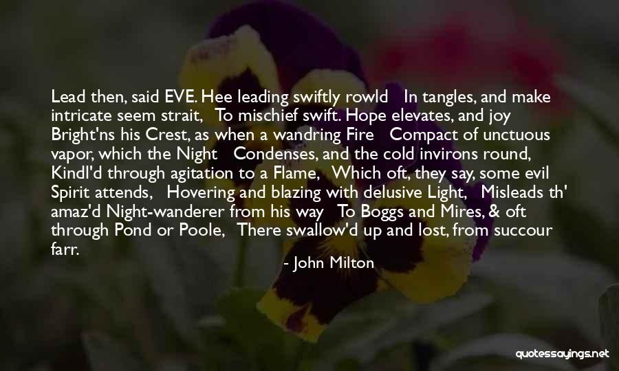 A Light Of Hope Quotes By John Milton