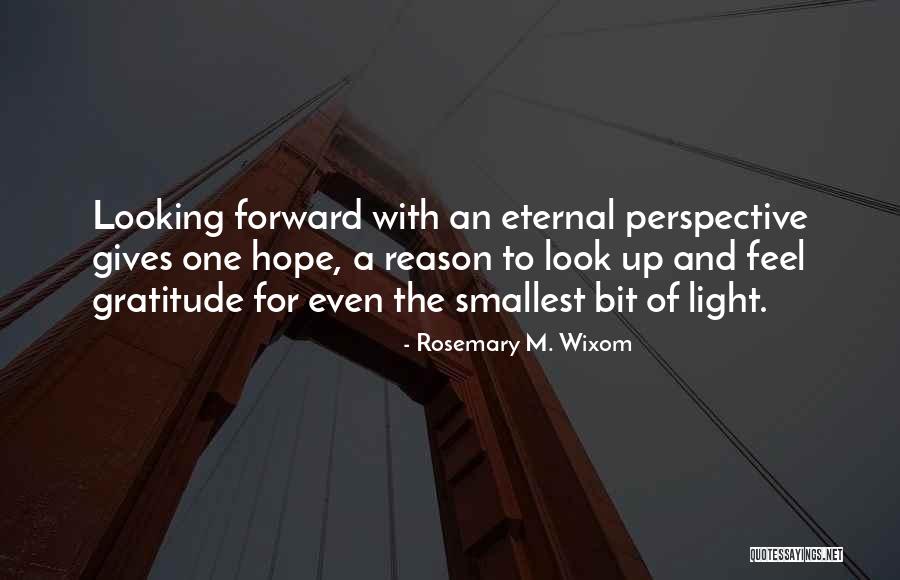 A Light Of Hope Quotes By Rosemary M. Wixom