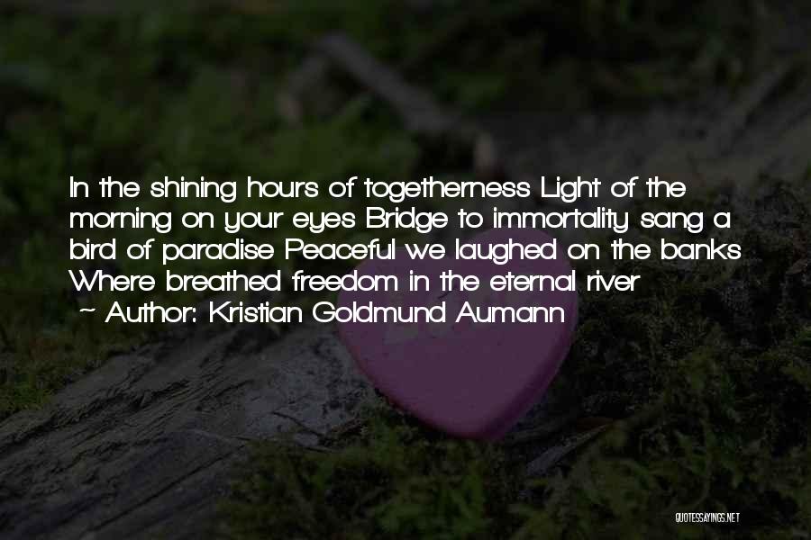 A Light Quotes By Kristian Goldmund Aumann