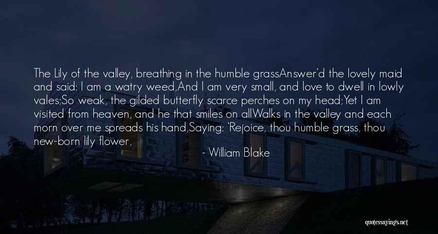 A Lily Flower Quotes By William Blake A Lily Flower Quotes By William Blake