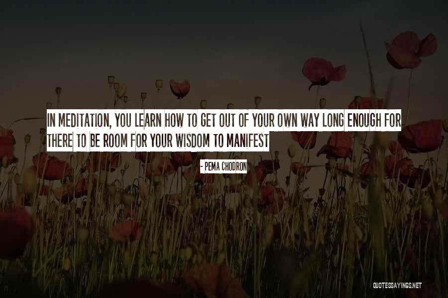 A Lion In Winter Quotes By Pema Chodron A Lion In Winter Quotes By Pema Chodron