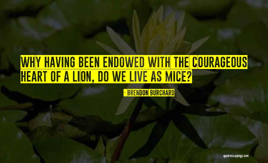 A Lion Quotes By Brendon Burchard