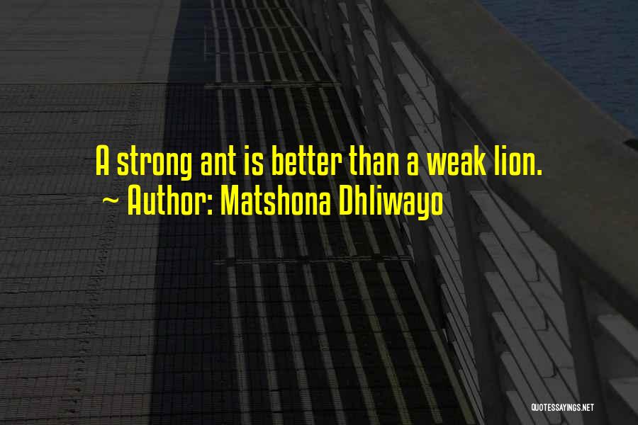 A Lion Quotes By Matshona Dhliwayo