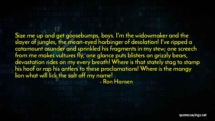 A Lion Quotes By Ron Hansen