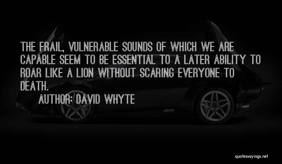 A Lion's Roar Quotes By David Whyte