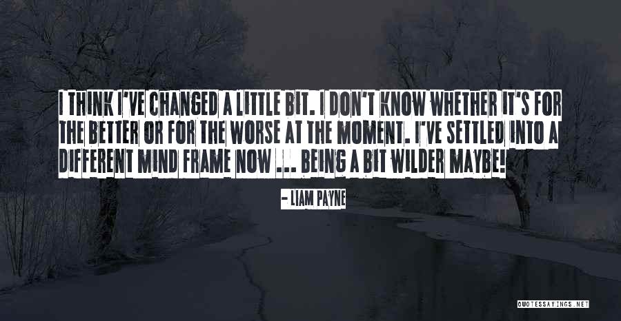 A Little Bit Better Quotes By Liam Payne A Little Bit Better Quotes By Liam Payne