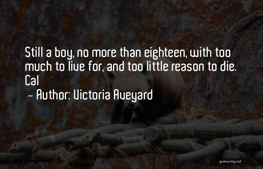 A Little Boy Quotes By Victoria Aveyard