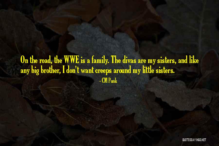 A Little Brother And Big Sister Quotes By CM Punk