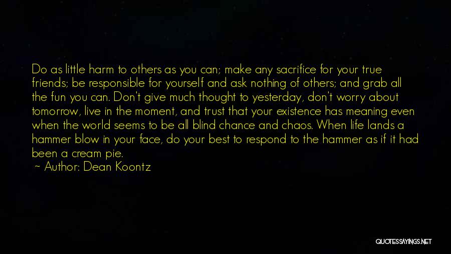 A Little Chaos Best Quotes By Dean Koontz