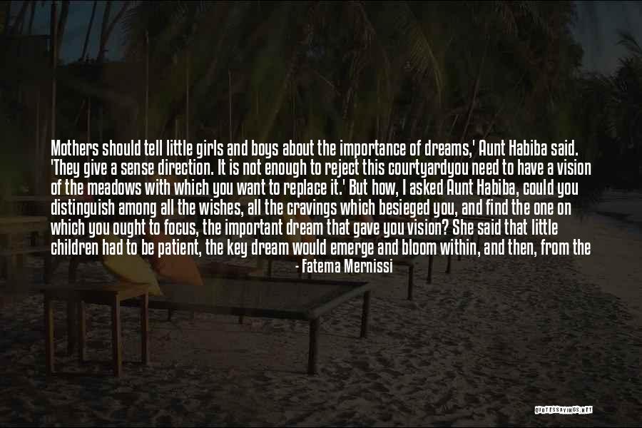 A Little Girls Dream Quotes By Fatema Mernissi