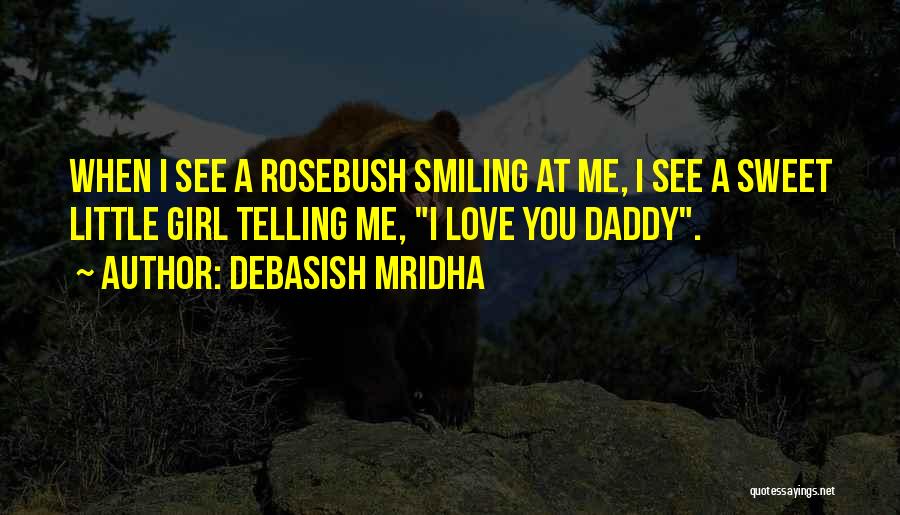 A Little Happiness Quotes By Debasish Mridha