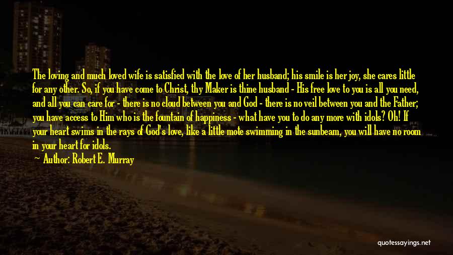 A Little Happiness Quotes By Robert E. Murray
