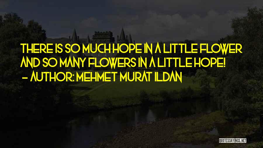 A Little Hope Quotes By Mehmet Murat Ildan