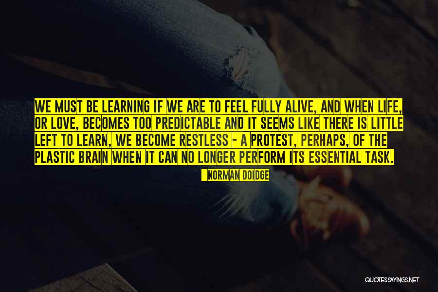A Little Learning Quotes By Norman Doidge A Little Learning Quotes By Norman Doidge