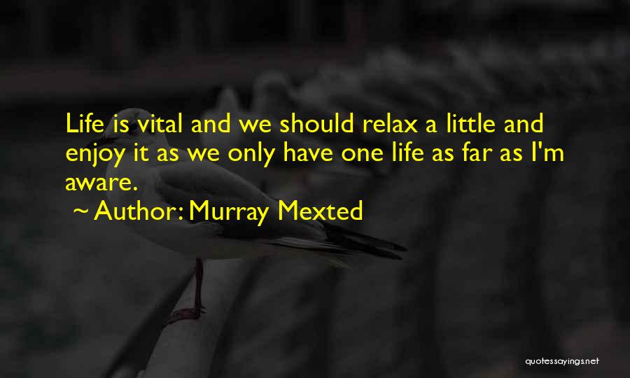 A Little Life Quotes By Murray Mexted