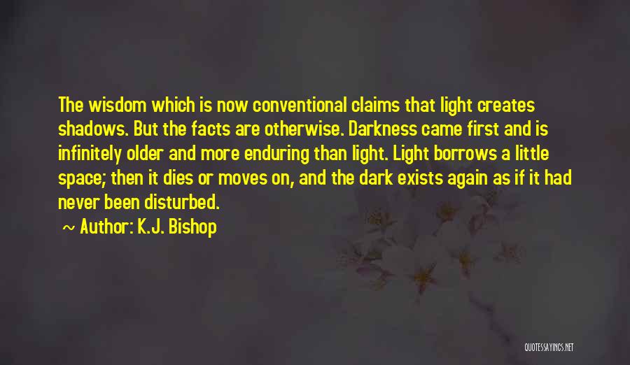 A Little Light Quotes By K.J. Bishop