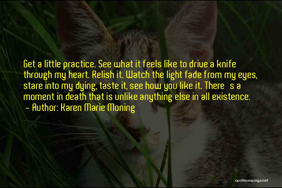 A Little Light Quotes By Karen Marie Moning