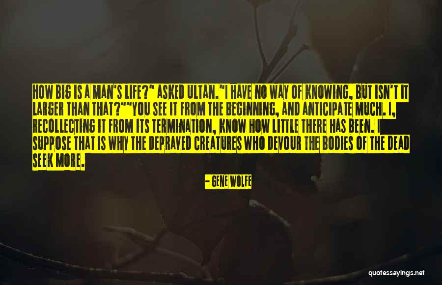 A Little Philosophy Of Life Quotes By Gene Wolfe A Little Philosophy Of Life Quotes By Gene Wolfe