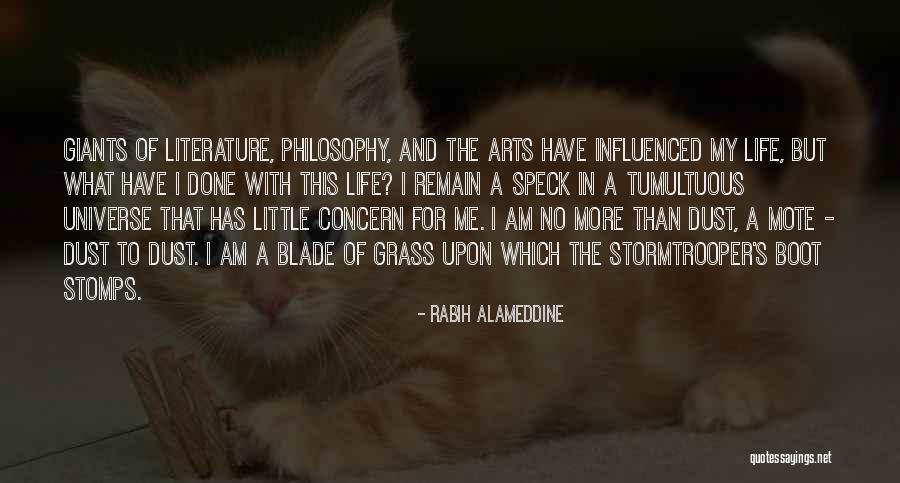 A Little Philosophy Of Life Quotes By Rabih Alameddine A Little Philosophy Of Life Quotes By Rabih Alameddine