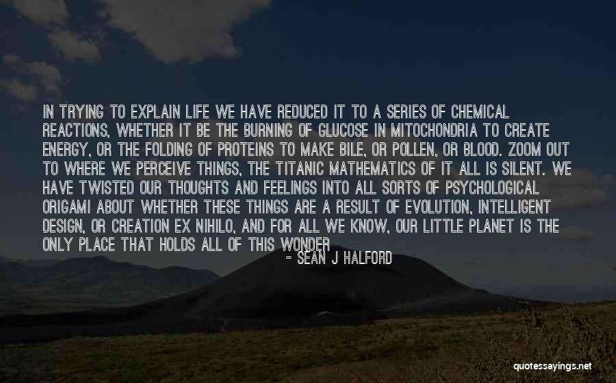 A Little Philosophy Of Life Quotes By Sean J Halford A Little Philosophy Of Life Quotes By Sean J Halford