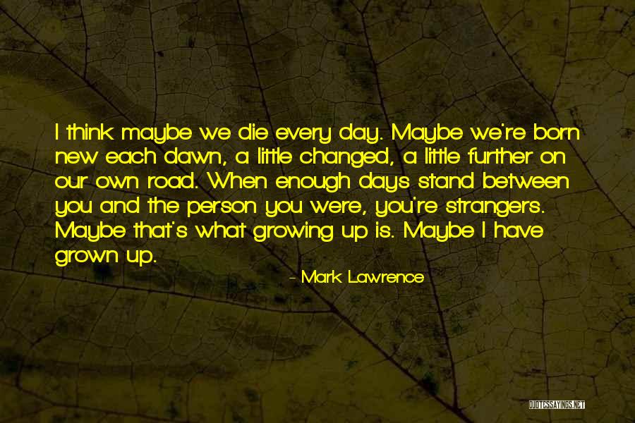 A Little Prince Quotes By Mark Lawrence A Little Prince Quotes By Mark Lawrence