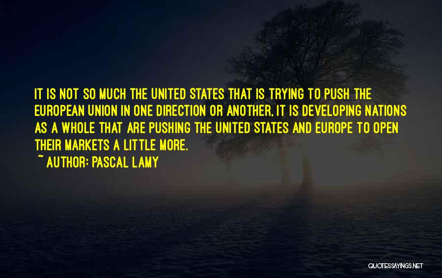 A Little Push Quotes By Pascal Lamy