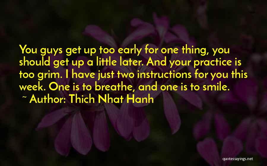 A Little Smile Quotes By Thich Nhat Hanh