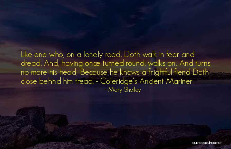 A Lonely Road Quotes By Mary Shelley A Lonely Road Quotes By Mary Shelley