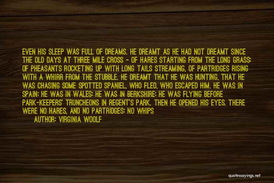 A Long Long Sleep Quotes By Virginia Woolf