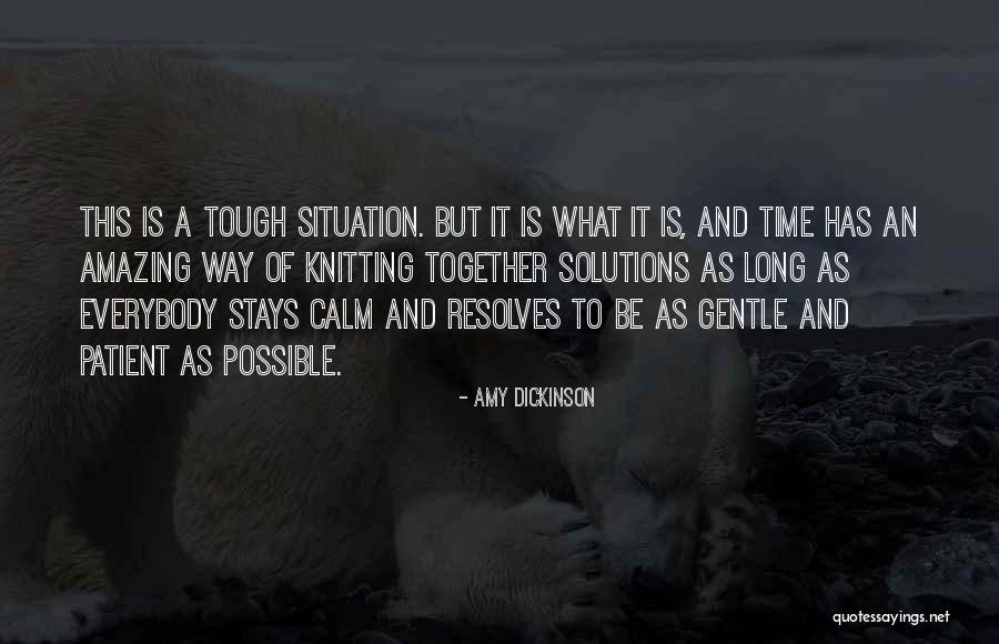 A Long Long Way Quotes By Amy Dickinson A Long Long Way Quotes By Amy Dickinson