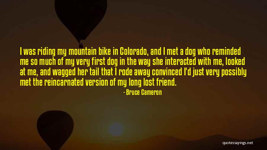 A Long Lost Friend Quotes By Bruce Cameron